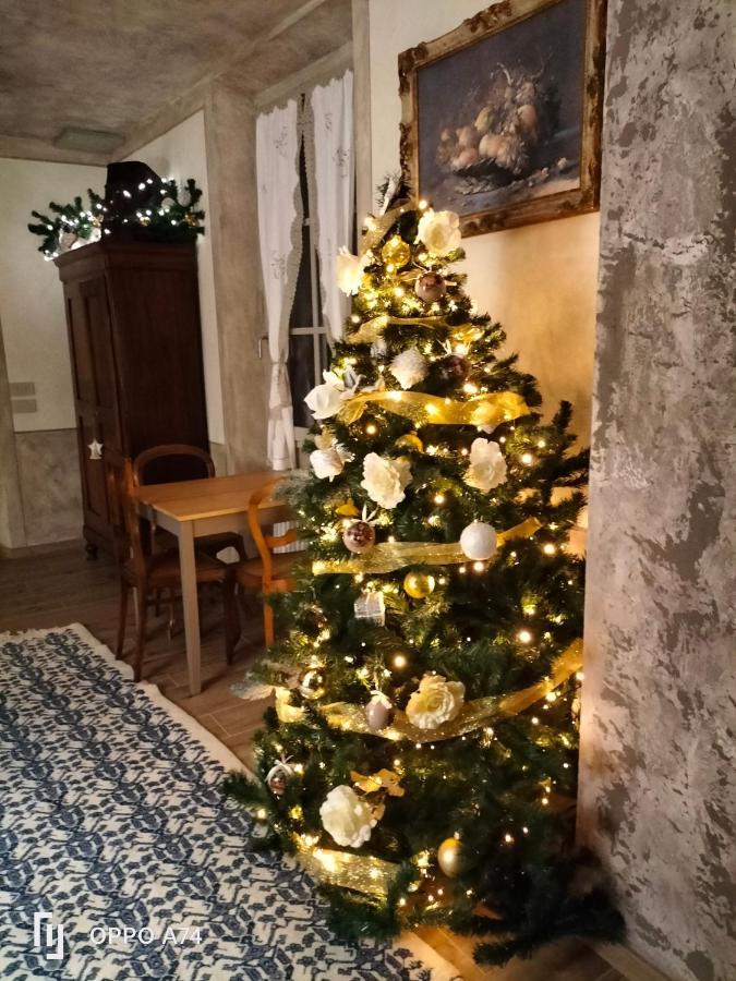 B&B Sasso Di Rocca Gaggio Montano Bagian luar foto